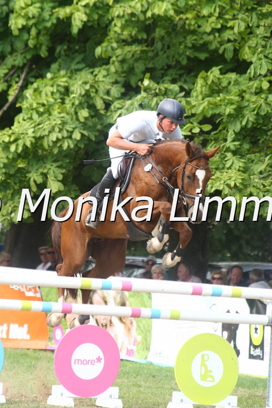 308M3771_Cuby Cuvidius_Springpferde Mx.JPG